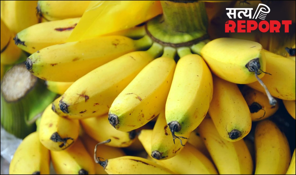 केला खाते वक्त लोग करते हैं ये 2 बड़ी गलतियां, नहीं मिल पाता भरपूर फायदा, जानिए केले खाने का सही तरीका
