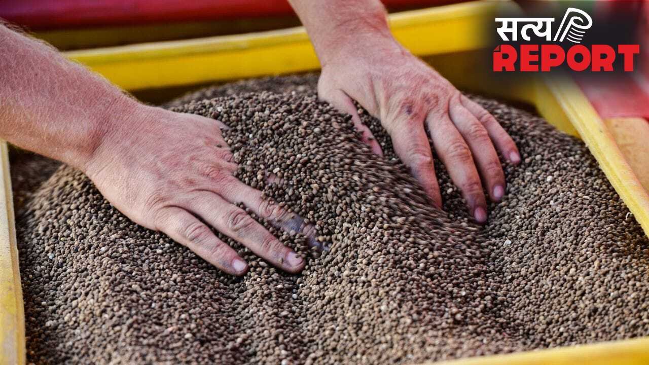 खाद के लिए भारत को चुकाएगा 40 फीसदी ज्यादा कीमत! क्या होगा आटा, चावल दाल पर इसका असर?