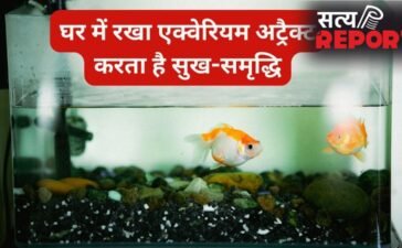 घर में सही दिशा में रखें एक्वेरियम तो खुद चलकर आता है पैसा, गलत जगह बन सकती है नुकसान, जानिए वास्तु नियम