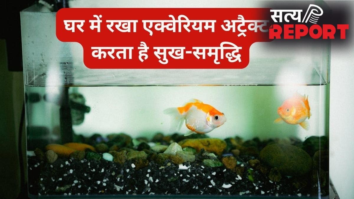 घर में सही दिशा में रखें एक्वेरियम तो खुद चलकर आता है पैसा, गलत जगह बन सकती है नुकसान, जानिए वास्तु नियम