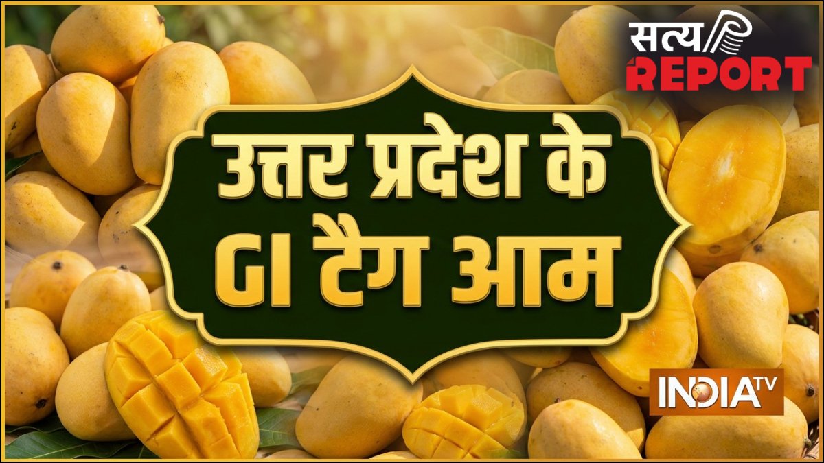 उत्तर प्रदेश के इन आम को मिल चुका है GI टैग, देश विदेश में है मांग, शहद सा मीठा होता है स्वाद