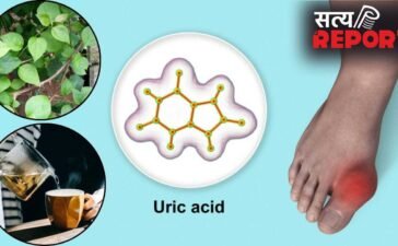 बढ़ गया है यूरिक एसिड, दर्द से है हाल-बेहाल…एक्सपर्ट का बताया ये काढ़ा पिएं बढ़ गया है यूरिक एसिड, दर्द से है हाल-बेहाल…एक्सपर्ट का बताया ये काढ़ा पिएं