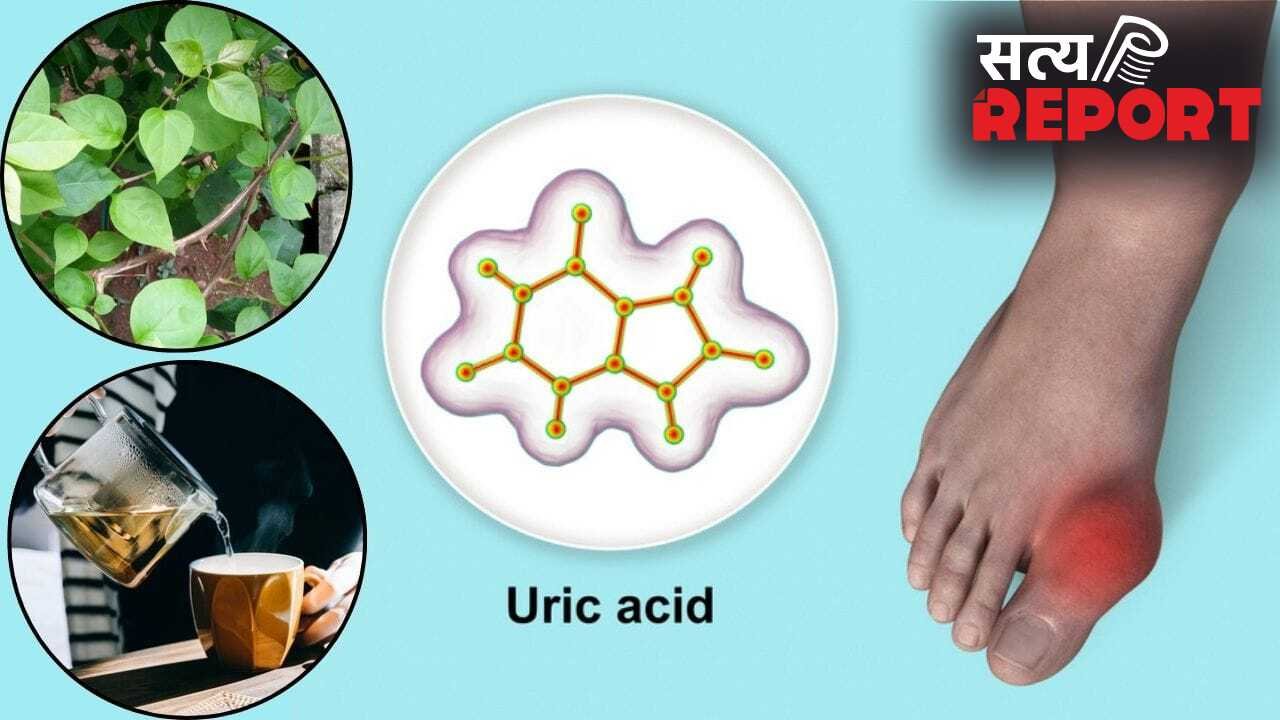 बढ़ गया है यूरिक एसिड, दर्द से है हाल-बेहाल…एक्सपर्ट का बताया ये काढ़ा पिएं