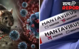 Hantavirus का बढ़ता खतरा! मरीजों की संख्या हुई 11, WHO की सख्त सलाह- 42 दिन क्वारंटाइन है जरूरी, बढ़ी चिंता