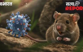 Explainer: Hantavirus क्या है? कैसे हुई इसकी शुरुआत और क्या होते हैं लक्षण? जानें कुछ महत्वपूर्ण बातें