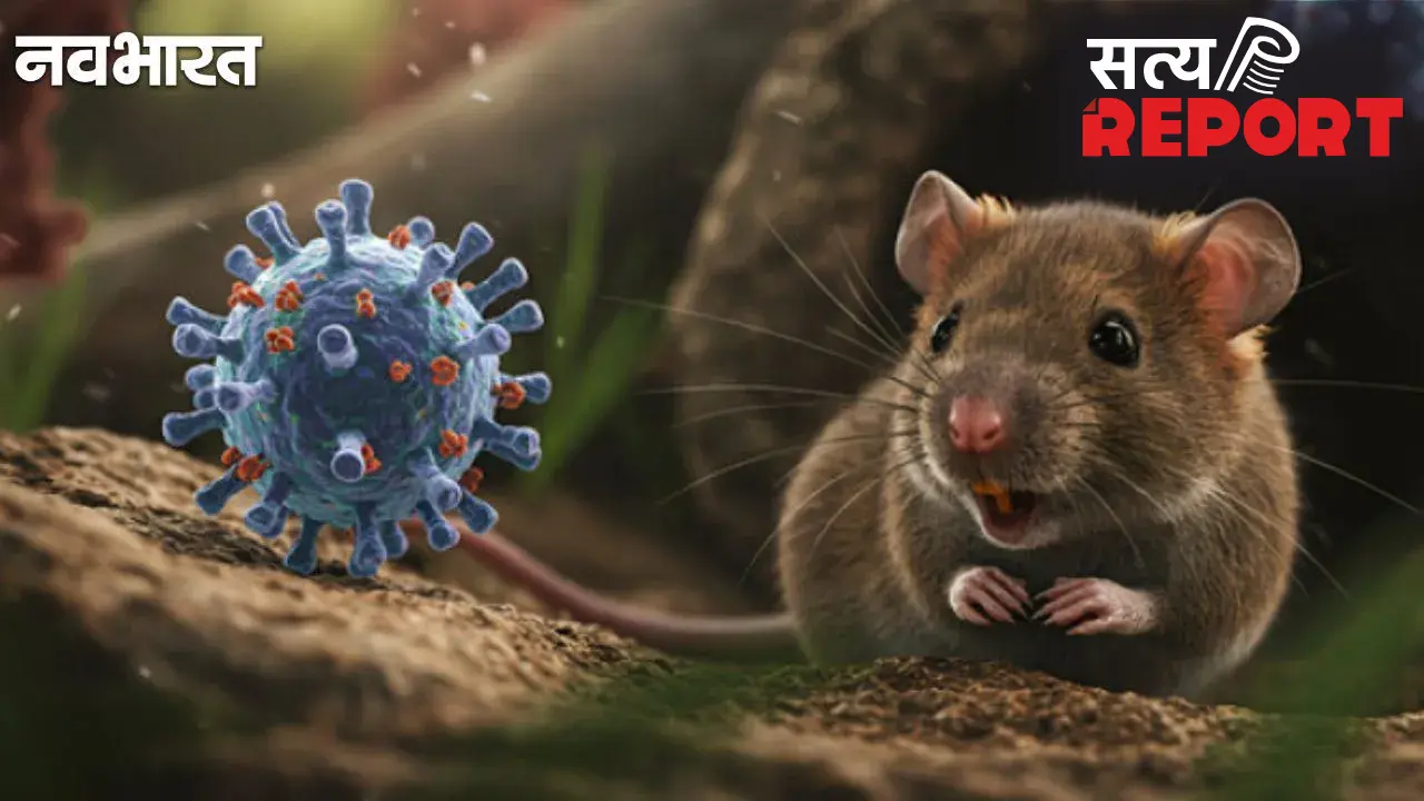 Explainer: Hantavirus क्या है? कैसे हुई इसकी शुरुआत और क्या होते हैं लक्षण? जानें कुछ महत्वपूर्ण बातें