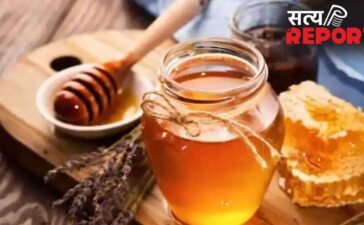 देश के इस राज्य के शहद की US में खूब डिमांड, किसानों को मिलेंगे 43% ज्यादा कीमत