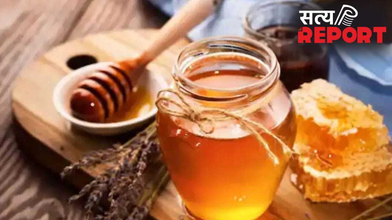 देश के इस राज्य के शहद की US में खूब डिमांड, किसानों को मिलेंगे 43% ज्यादा कीमत