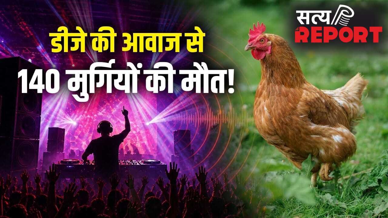 DJ की कितनी तेज आवाज इंसान हो या पक्षी, सबके लिए जानलेवा? सुल्तानपुर में 140 मुर्गियों की मौत से उठा सवाल