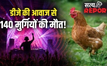कितनी तेज आवाज इंसान हो या पक्षी, सबके लिए जानलेवा? सुल्तानपुर में 140 मुर्गियों की मौत से उठा सवाल