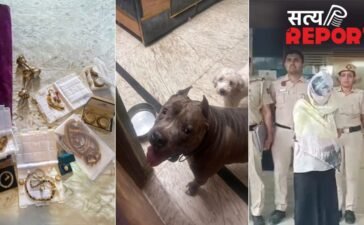 2 किलो सोना, 15 गोल्ड लोन अकाउंट, घर में पाले 15 खूंखार कुत्ते; दिल्ली की नौकरानी का खुला रहस्य