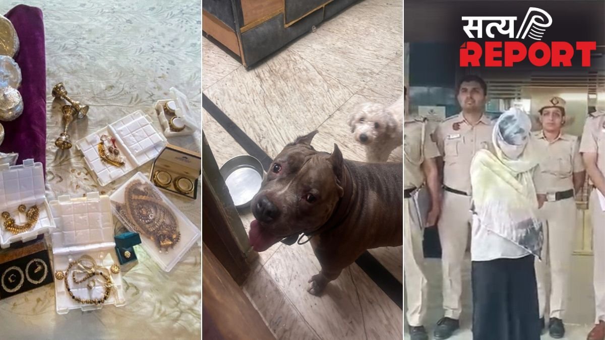 2 किलो सोना, 15 गोल्ड लोन अकाउंट, घर में पाले 15 खूंखार कुत्ते; दिल्ली की नौकरानी का खुला रहस्य
