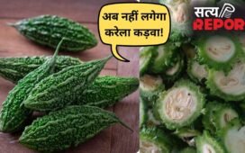 करेले को बनाएं स्वादिष्ट, मास्टरशेफ संजीव कपूर ने बताए कड़वाहट दूर करने के ये कारगर तरीके