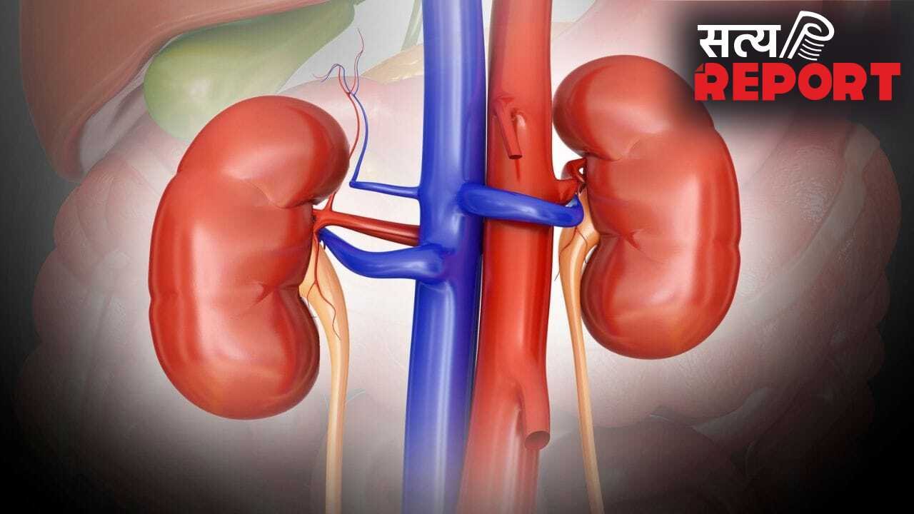 क्या हाई बीपी और डायबिटीज किडनी को नुकसान पहुंचा सकते हैं?