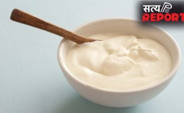Kitchen Hacks: Market-Style दही अब घर पर! मिनटों में गाढ़ा करने के लिए अपनाएं यह Pro Food Tip