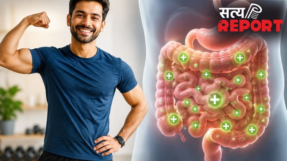 गट हेल्थ को बेहतर बनाते हैं ये 4 फूड, आंतों में बढ़ेंगे गुड बैक्टीरिया, एक्सपर्ट से जानिए कैसे