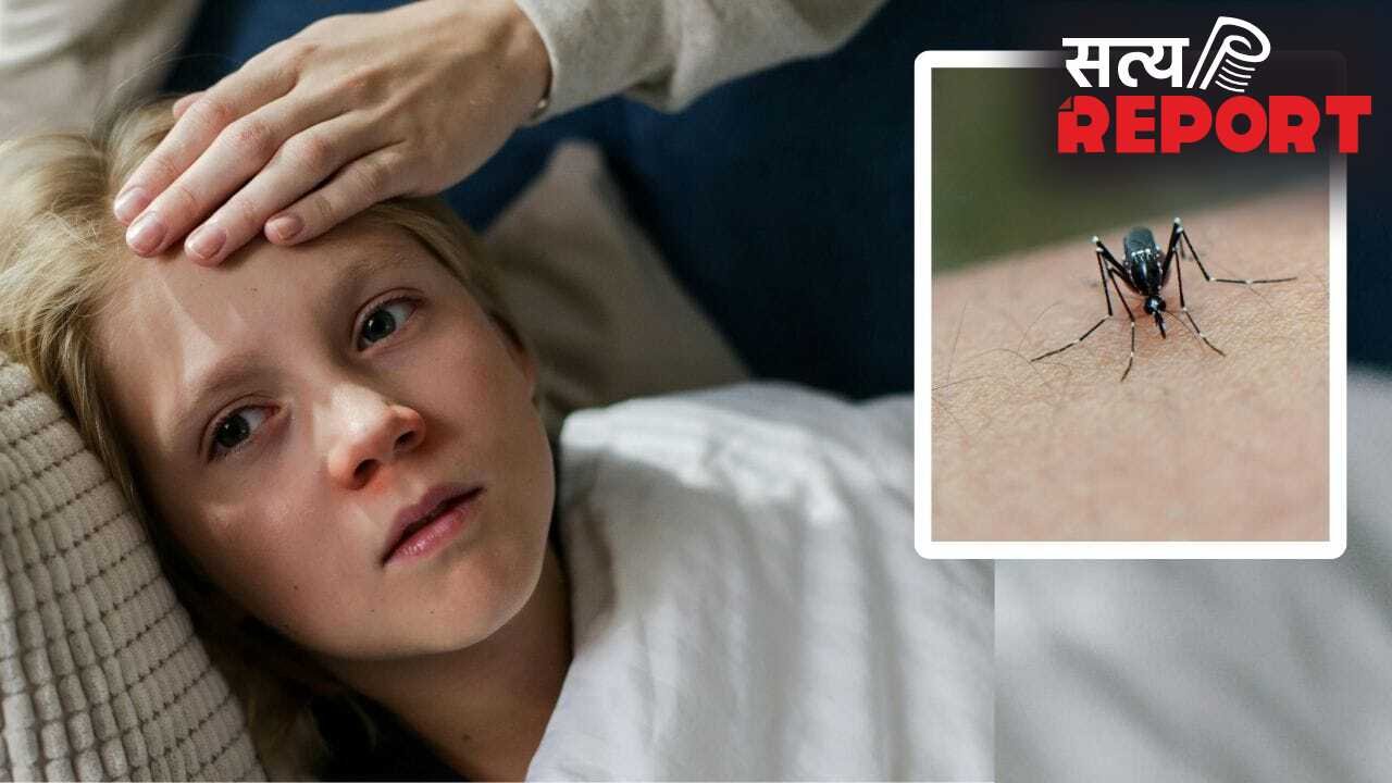National Dengue Day: डेंगू से ठीक होने के बाद पेशेंट रिकवरी के लिए कैसी रखें डाइट