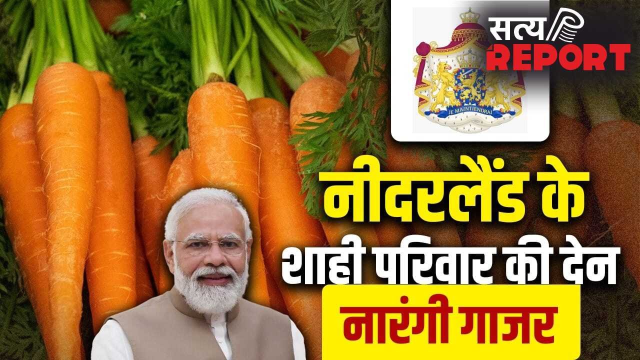 Netherlands: नारंगी गाजर कैसे नीदरलैंड के शाही परिवार के सम्मान का प्रतीक बनी? जहां पहुंचे PM मोदी