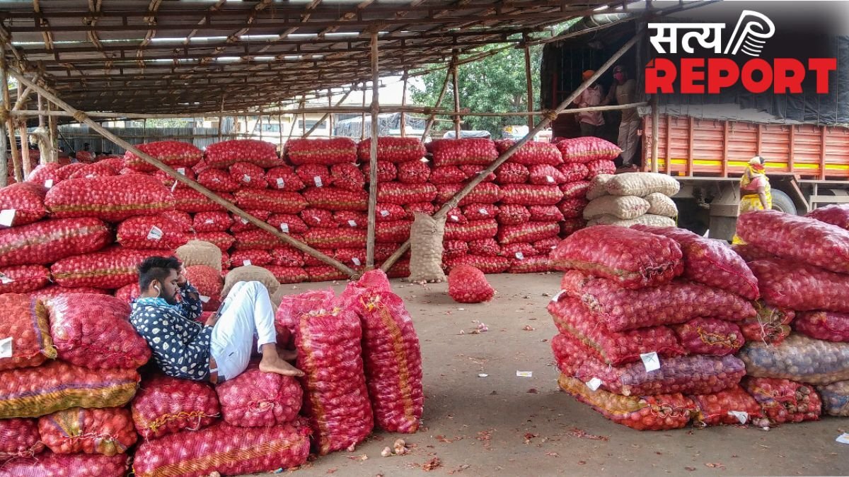 किसानों का सारा प्याज खरीदेगी सरकार, इस भाव पर होगी खरीद, चेक करें डिटेल्स