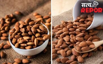 असली और मिलावटी बादाम की ऐसे करें पहचान, खरीदने से पहले काम आ सकती हैं ये टिप्स