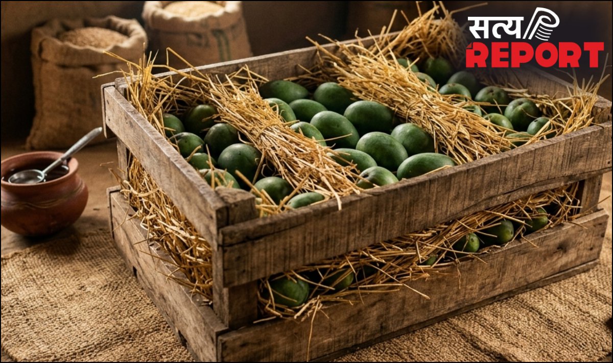 मंडी से खरीद लाएं बड़े-बड़े कच्चे आम, बिना कार्बाइड के इन देसी तरीकों से घर में ऐसे पकाएं