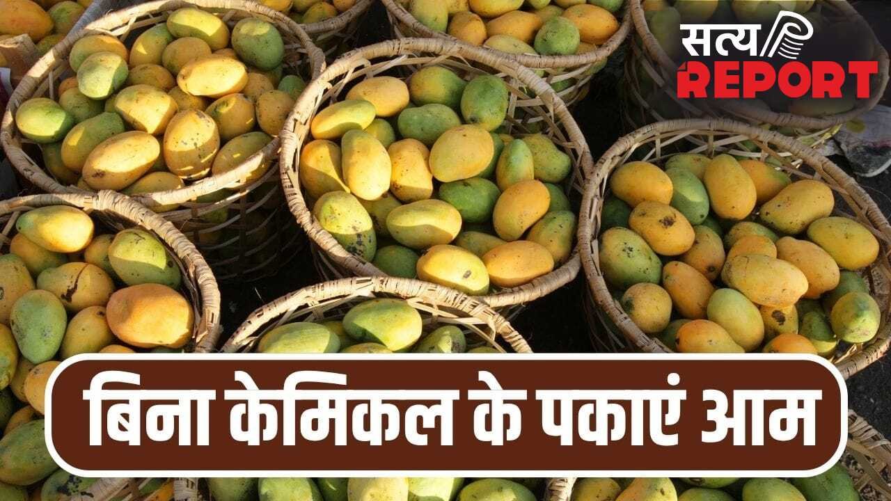 घर पर बिना केमिकल के पका सकते हैं आम, बस आजमाएं ये पुराने तरीके