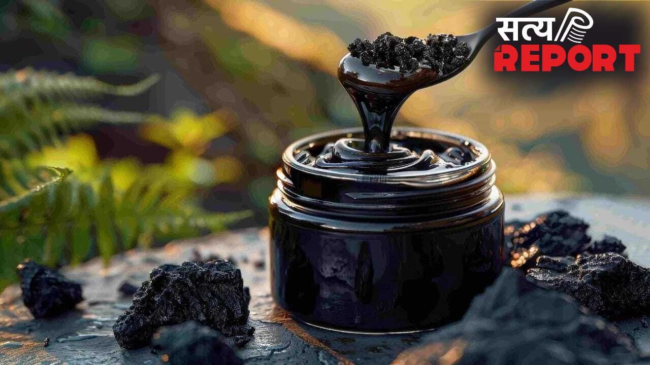 शिलाजीत से कर सकते हैं लाखों की कमाई, कहा से निकलता है ये ‘काला सोना’?