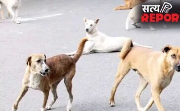 नन्हे बच्चे का कटा सिर नोंच रहे थे कुत्ते, देखते ही सिहर उठे लोग… इलाके में दहशत, धड़ तलाश रही पुलिस नन्हे बच्चे का कटा सिर नोंच रहे थे कुत्ते, देखते ही सिहर उठे लोग… इलाके में दहशत, धड़ तलाश रही पुलिस