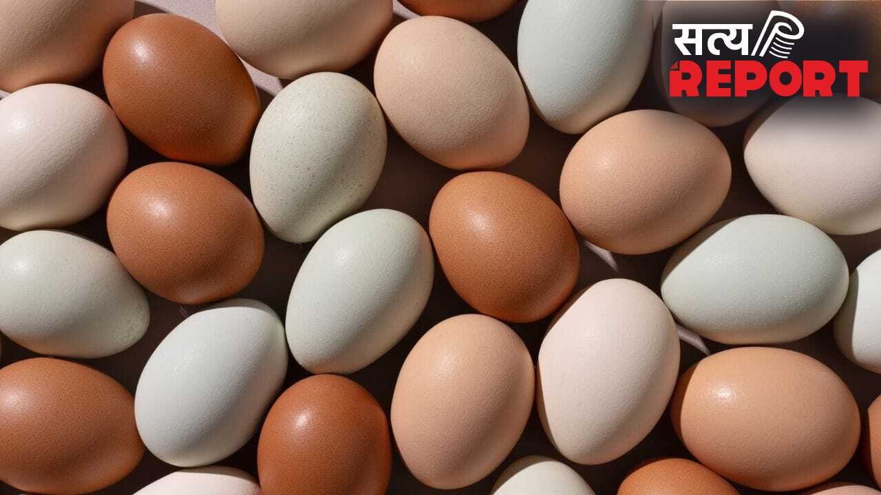 गर्मियों में अंडे खाना सुरक्षित है या नहीं? जानिए सच