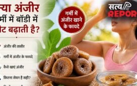क्या गर्मी में अंजीर खाना सेफ है? डॉक्टर की सलाह- सीधे खाने की जगह अपनाएं ये ट्रिक, पाचन भी रहेगा दुरुस्त