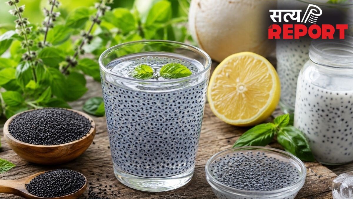 गर्मी में बॉडी हीट कंट्रोल कर सकते हैं तुलसी के बीज, आयुर्वेद ने बताया इसे अमृत, एक्सपर्ट से जानिए फायदे और तरीका