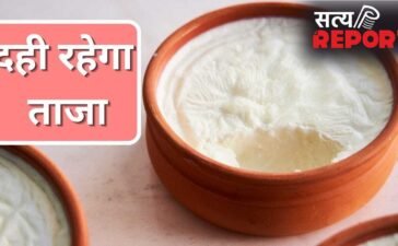 2 दिन बाद भी दही नहीं होगा खट्टा, बस फॉलो कर लें ये आसान से तरीके