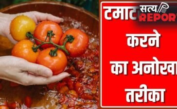 महिला ने टमाटर स्टोर करने का बताया ऐसा गजब तरीका, कई महीने नहीं होंगे खराब!