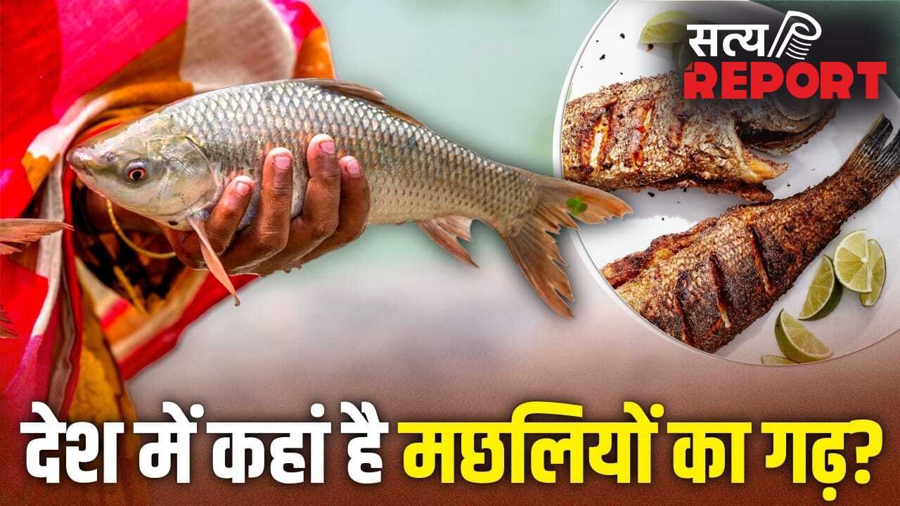 Fish: न पश्चिम बंगाल, न ओडिशा, देश को सबसे ज्यादा मछली देने वाला राज्य कौन सा? अमेरिका तक डिमांड