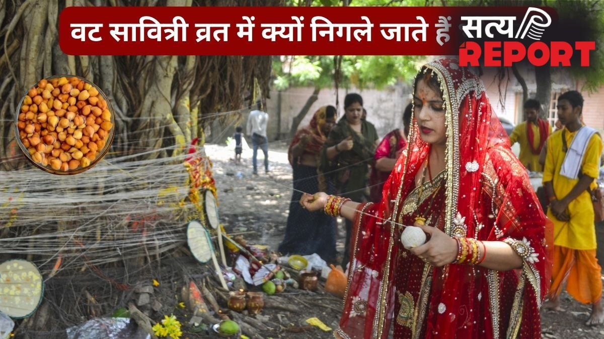 वट सावित्री व्रत में बिना चबाए क्यों निगले जाते हैं कच्चे चने? जानिए इस पूजा में भीगे चने का महत्व और रहस्य