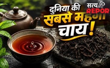 इस चाय की कीमत में आ जाएंगी कई लग्जरी गाड़ियां! 9 करोड़ रुपये है 1 किलो का भाव, क्या है इसमें खास?