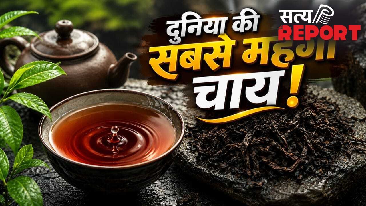 इस चाय की कीमत में आ जाएंगी कई लग्जरी गाड़ियां! 9 करोड़ रुपये है 1 किलो का भाव, क्या है इसमें खास?