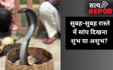 सुबह-सुबह जब अचानक रास्ते में दिख जाए सांप, तो इसका क्या मतलब होता है? जानें इसके पीछे के छिपे बड़े संकेत