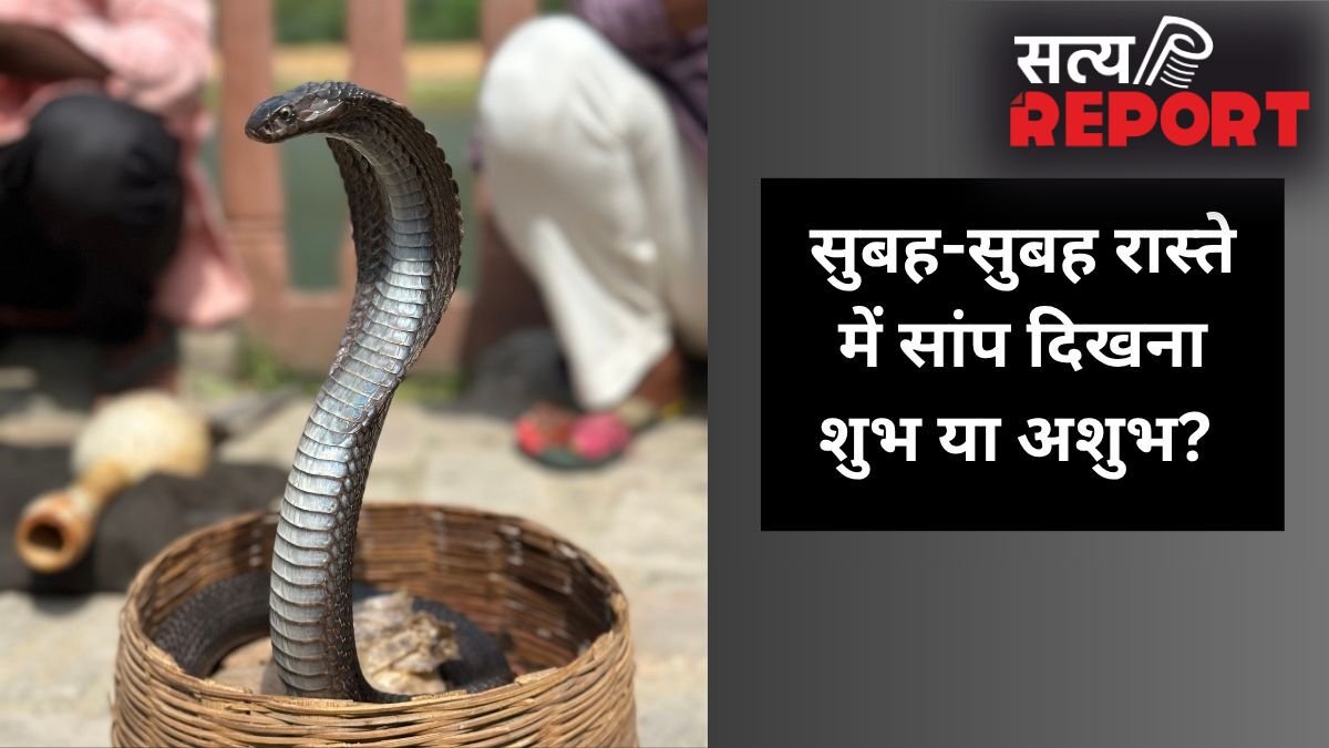 सुबह-सुबह जब अचानक रास्ते में दिख जाए सांप, तो इसका क्या मतलब होता है? जानें इसके पीछे के छिपे बड़े संकेत