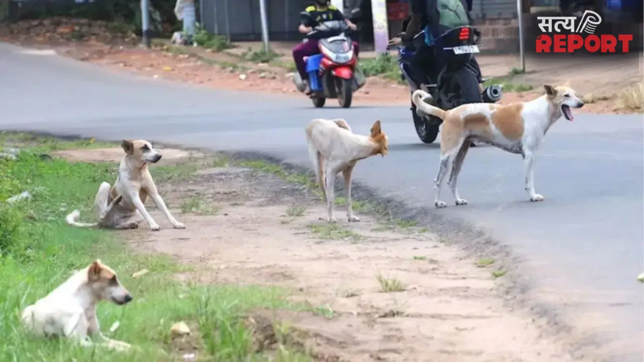 Kanpur Rottweiler Attack: कानपुर में रॉटविलर का तांडव, महिला जिंदगी की जंग लड़ रही