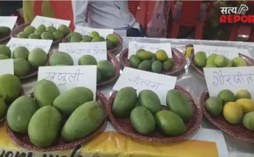 आम महोत्सव में छाया ढाई लाख रुपये किलो का आम, चार दर्जन से अधिक प्रजातियों ने खींचा लोगों का ध्यान