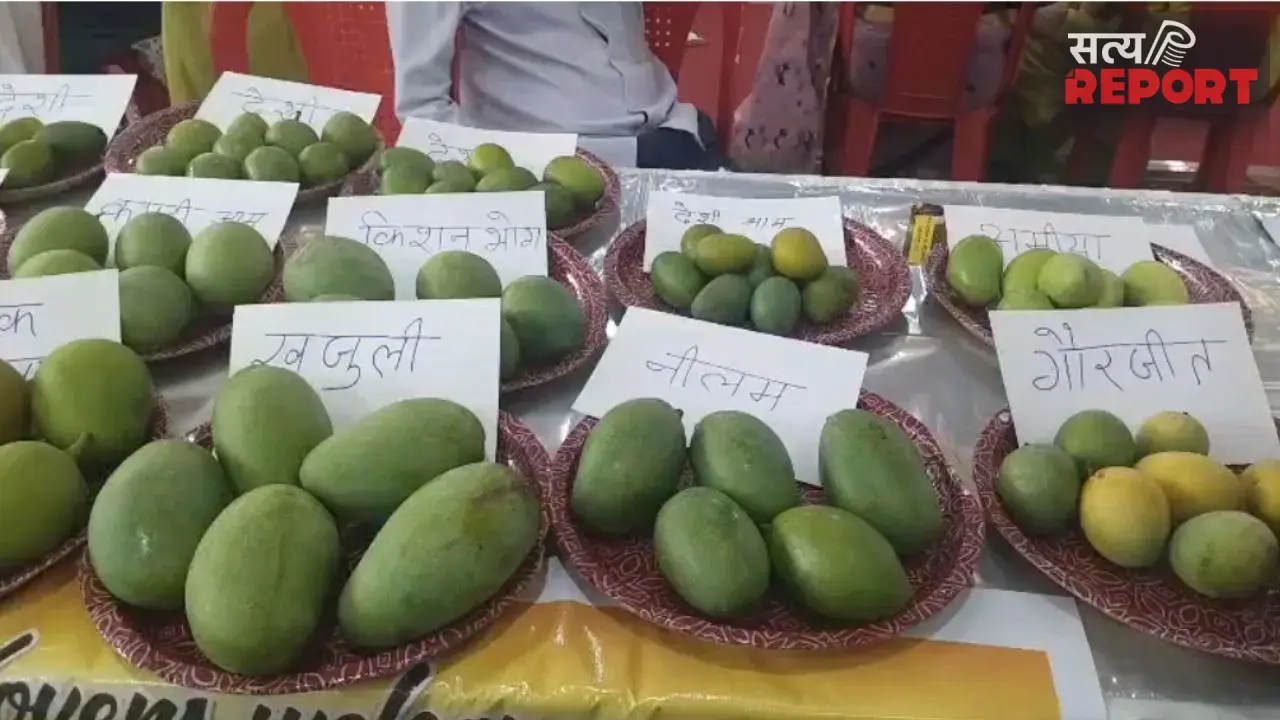 आम महोत्सव में छाया ढाई लाख रुपये किलो का आम, चार दर्जन से अधिक प्रजातियों ने खींचा लोगों का ध्यान
