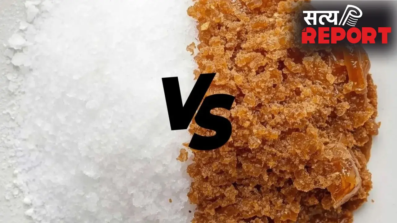 Sugar vs Jaggery: चीनी और गुड़ में कौन है ज्यादा हेल्दी? एक्सपर्ट से जानिए सच