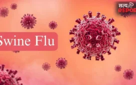 Swine Flu Prevention: बारिश के मौसम में क्यों बढ़ जाता है स्वाइन फ्लू का खतरा? जानें कैसे करें बचाव