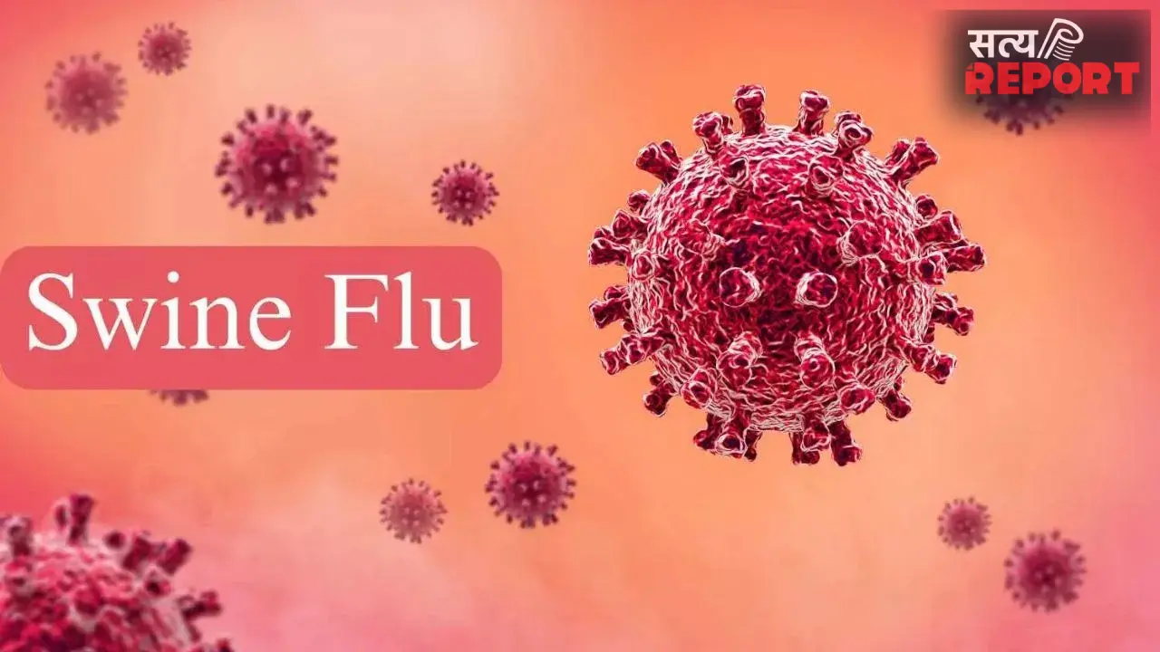 Swine Flu Prevention: बारिश के मौसम में क्यों बढ़ जाता है स्वाइन फ्लू का खतरा? जानें कैसे करें बचाव