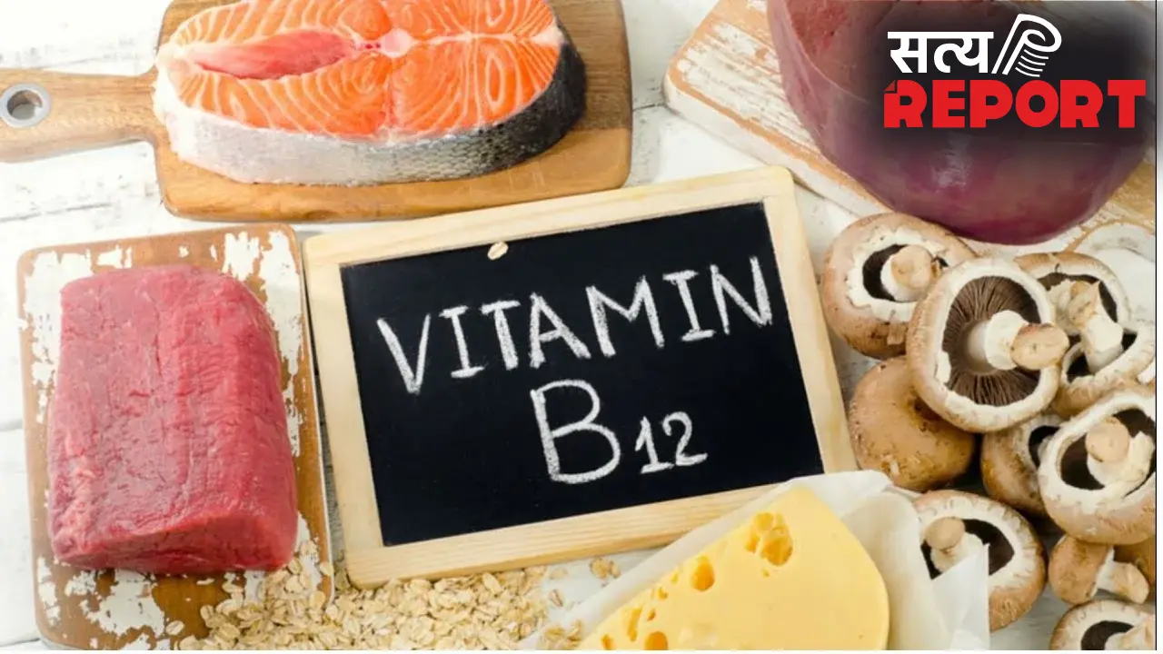 Vitamin B 12: शरीर में विटामिन B12 की कमी को दूर करेंगे ये 5 फूड्स, बढ़ेगी ऊर्जा और बनेगी बेहतर सेहत
