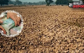 Akola Land Scam: असली आधार कार्ड पर लगाया दूसरे का फोटो; 2 एकड़ जमीन हड़पकर 11 लाख की धोखाधड़ी, 2 गिरफ्तार