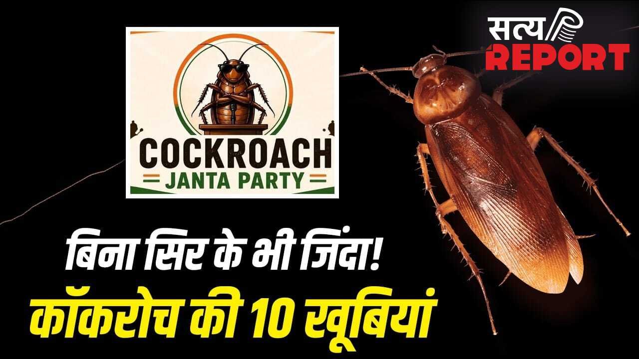 न खाना, न पानी, न सिर, फिर भी जिंदा! जानें कॉकरोच की 10 खूबियां, दिल्ली में CJP के प्रदर्शन से चर्चा में