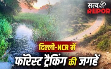 चारों तरफ हरियाली…दिल्ली-एनसीआर में हैं ये 5 जंगल ट्रैक, वीकेंड के लिए बेस्ट