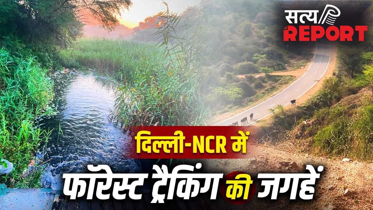 चारों तरफ हरियाली…दिल्ली-एनसीआर में हैं ये 5 जंगल ट्रैक, वीकेंड के लिए बेस्ट